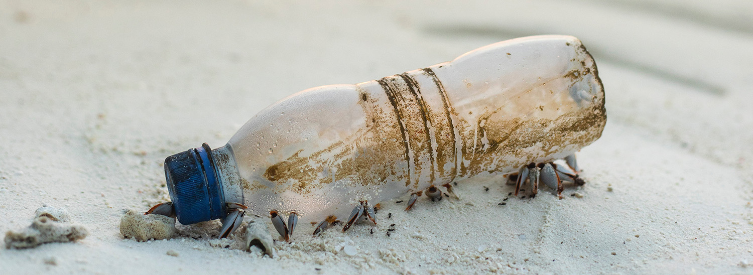 bandeau_NPC Bouteille en plastique abandonnée sur la plage