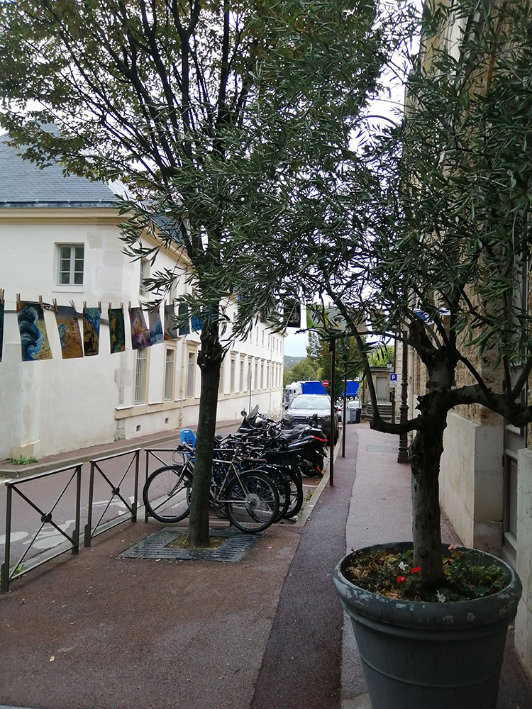 Photo de la Grande Lessive d'octobre 2023 à Saint-Cloud