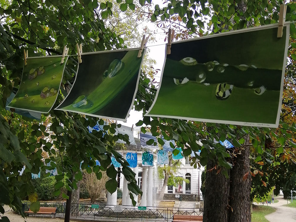 Photo de la Grande Lessive d'octobre 2023 à Saint-Cloud