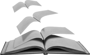 Livre dont les pages s'envolent.