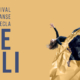 Le Pli - Festival de danse